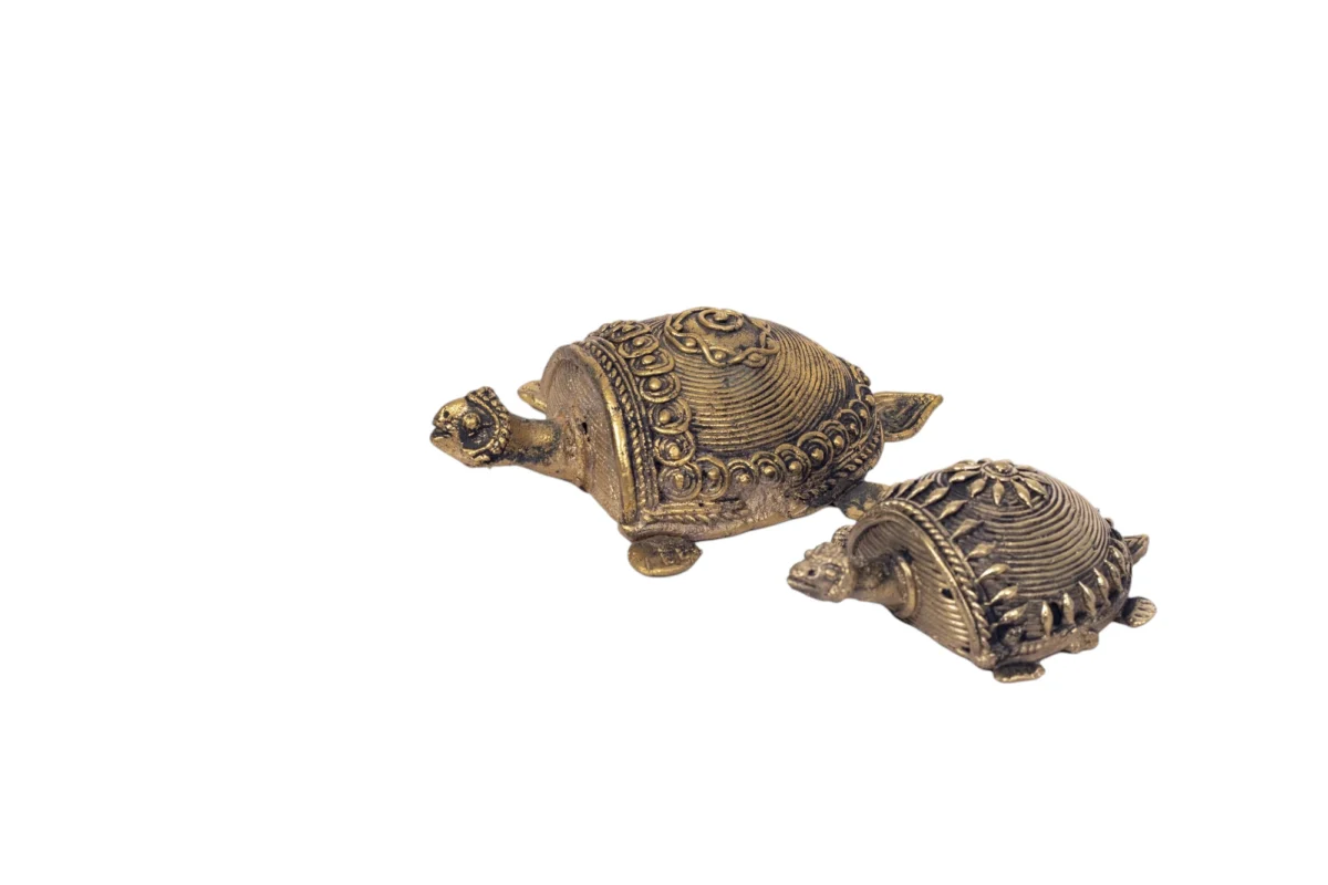 Turtle - Image 2