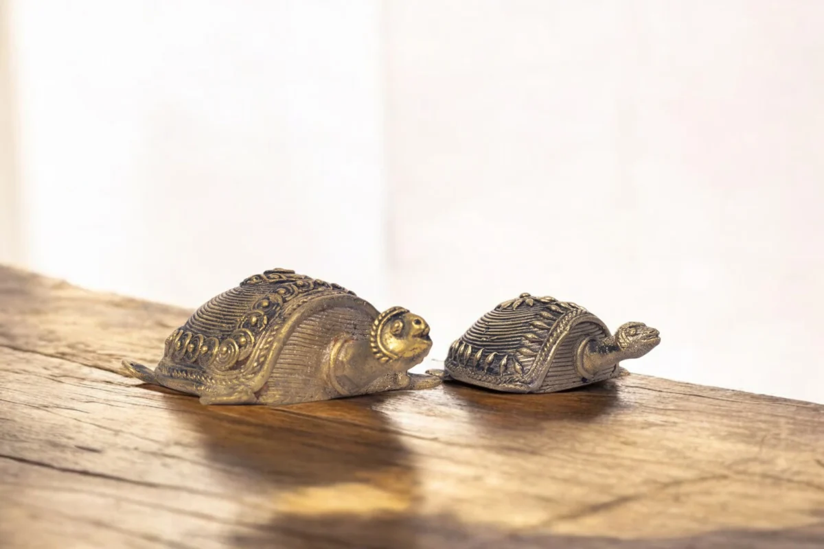 Turtle - Image 3