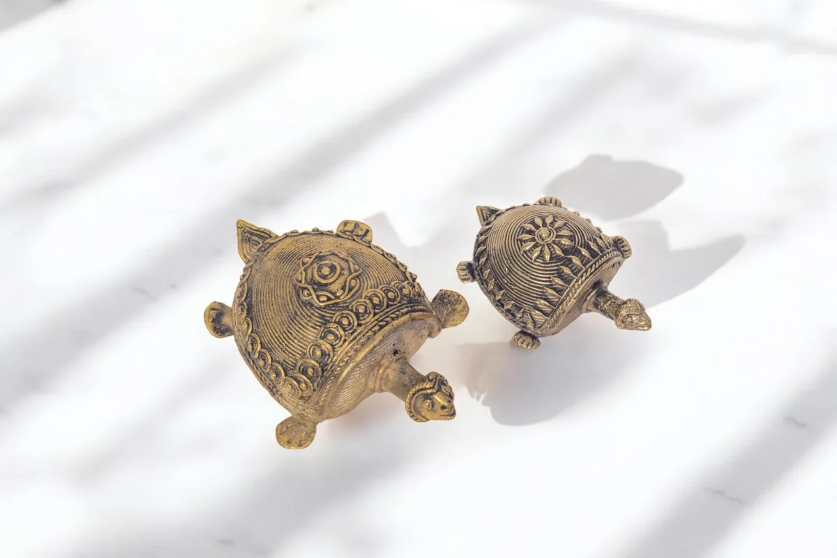 Turtle - Image 4