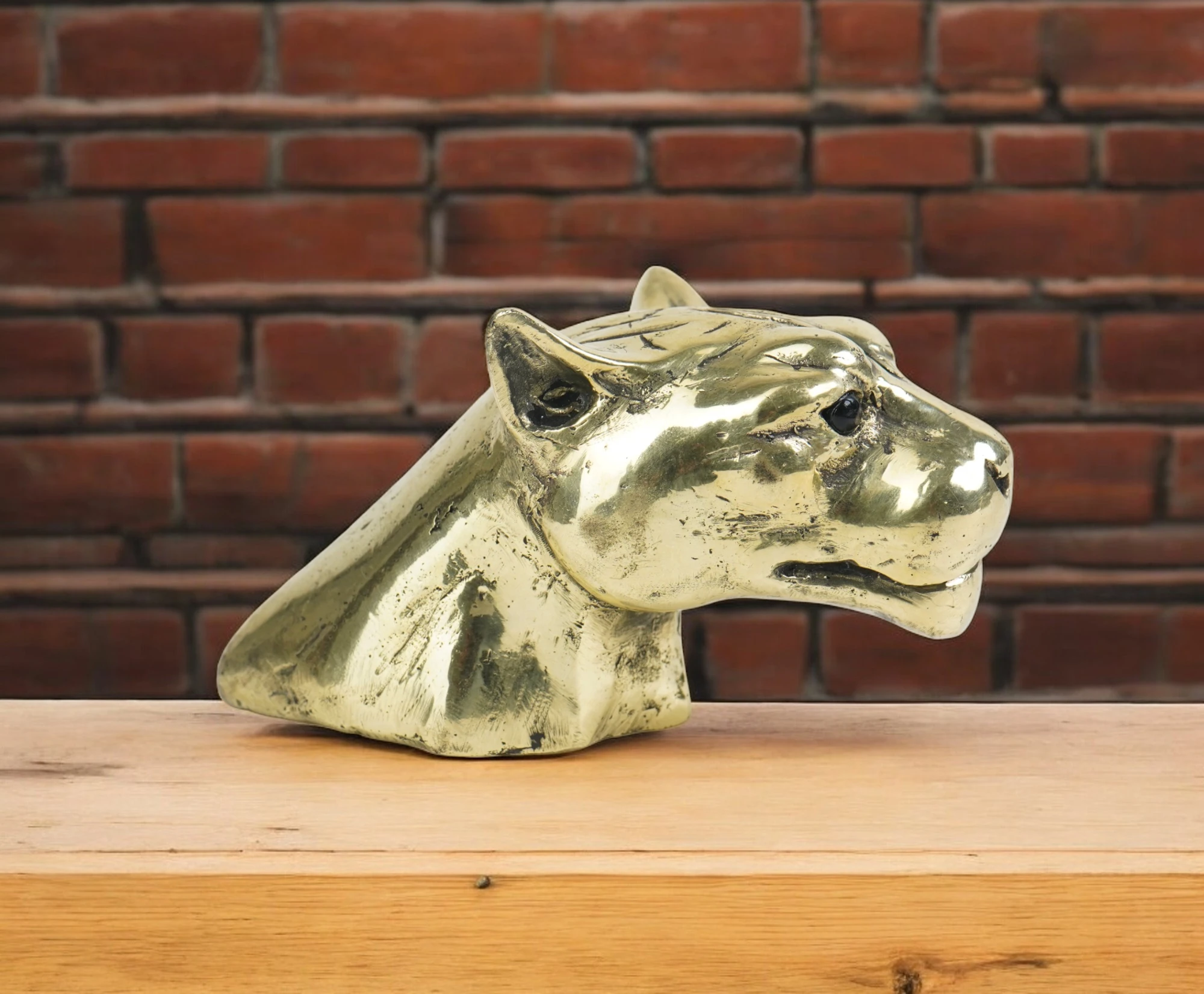 Brass Tiger Face